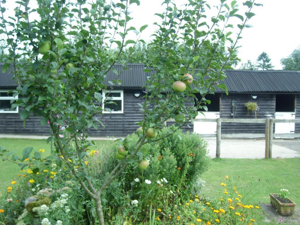 Heathwood Lodge Stelling 외부 사진